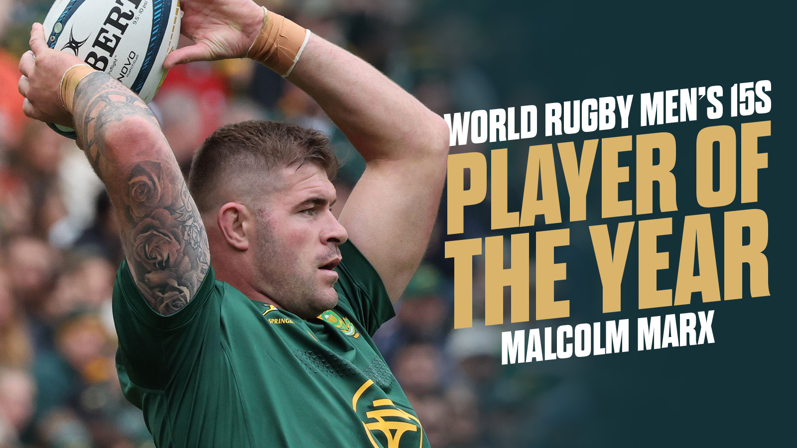 Malcolm Marx beats fellow Springboks to top gong