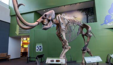two cars parked in residential driveway