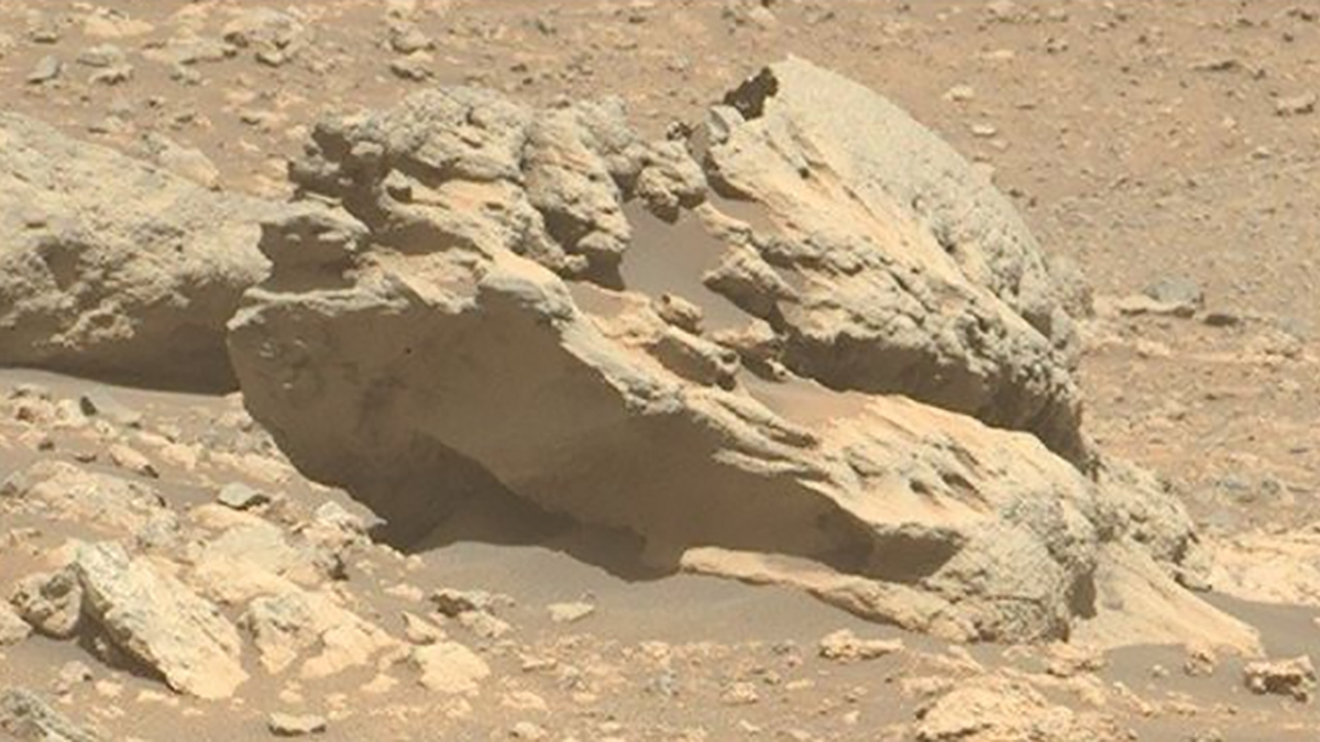NASA Discovered a Rock on Mars That Doesn't Belong There : ScienceAlert