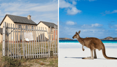 Fear of another crash keeps Irish returning from Australia - doctor