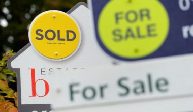 Government’s new housing plan will affect property valuations for years, auctioneers say – The Irish Times