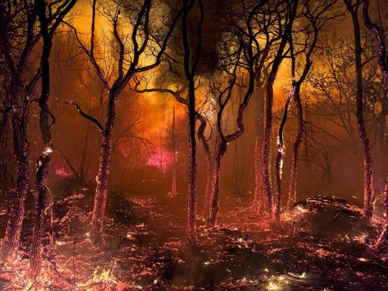 A forest is engulfed in a wildfire, with flames and smoke rising among charred trees. The ground is covered in glowing embers, and the sky is filled with an orange and yellow fiery glow.