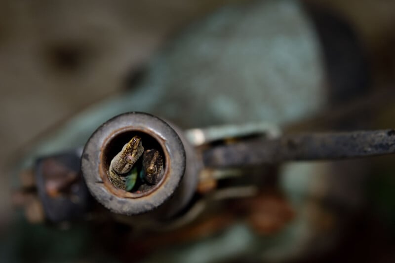 Close-up of frayed electrical wires inside a weathered metal pipe, with the background blurred, highlighting the exposed copper strands at the wire ends.