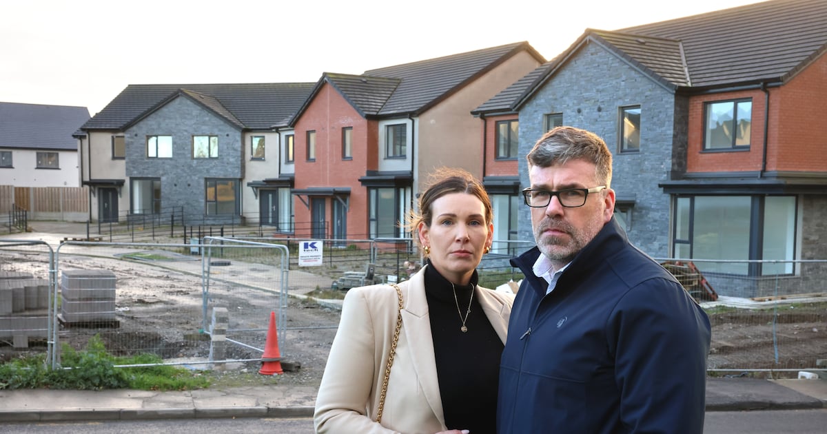Meath homebuyers fear for future after liquidator appointed to housing estate developer – The Irish Times