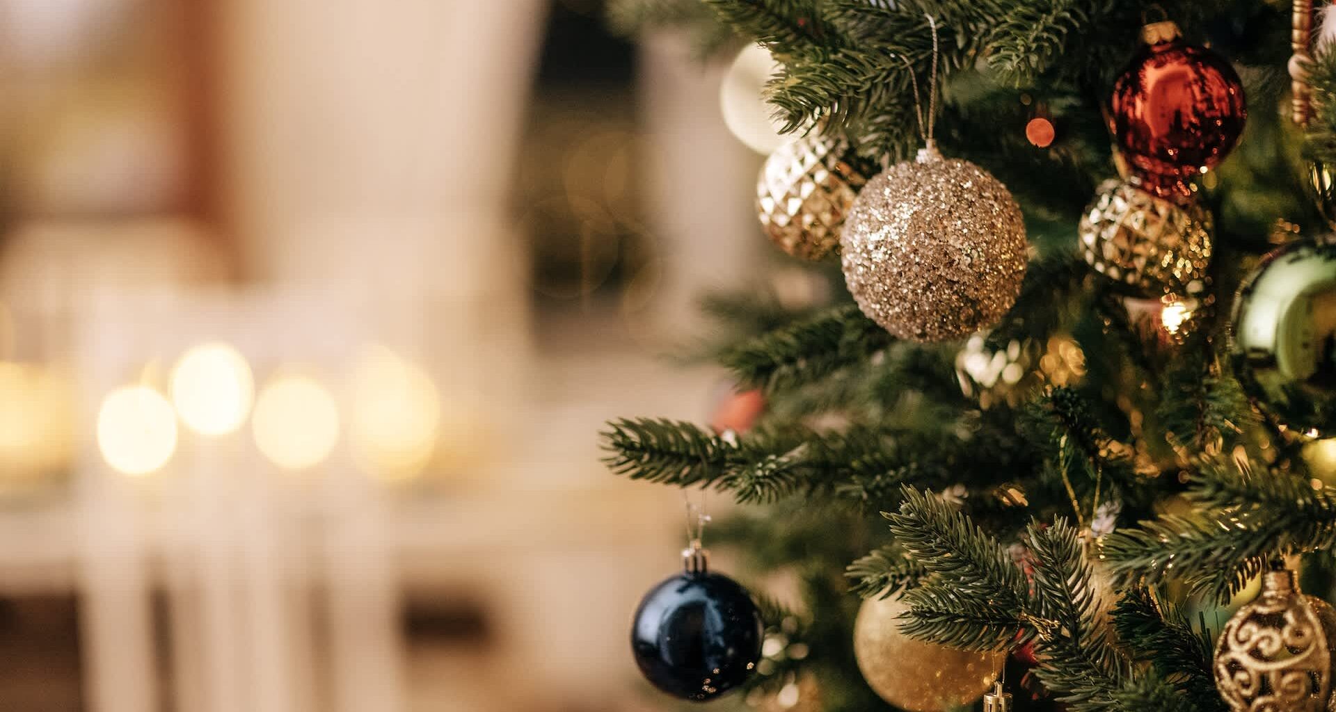 Researchers discovered that Norway spruce trees can accumulate gold in their needles thanks to soil bacteria.