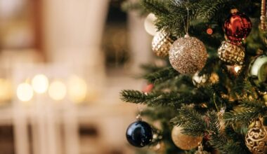 Researchers discovered that Norway spruce trees can accumulate gold in their needles thanks to soil bacteria.