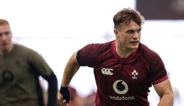Josh van der Flier and Garry Ringrose available for November finale against the Springboks – The Irish Times