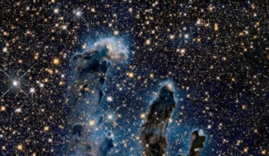 Scientists find space dust may be needed for life, in first study of its kind – The Irish News