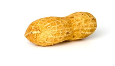 Long-term study shows peanut patch treatment builds tolerance in toddlers