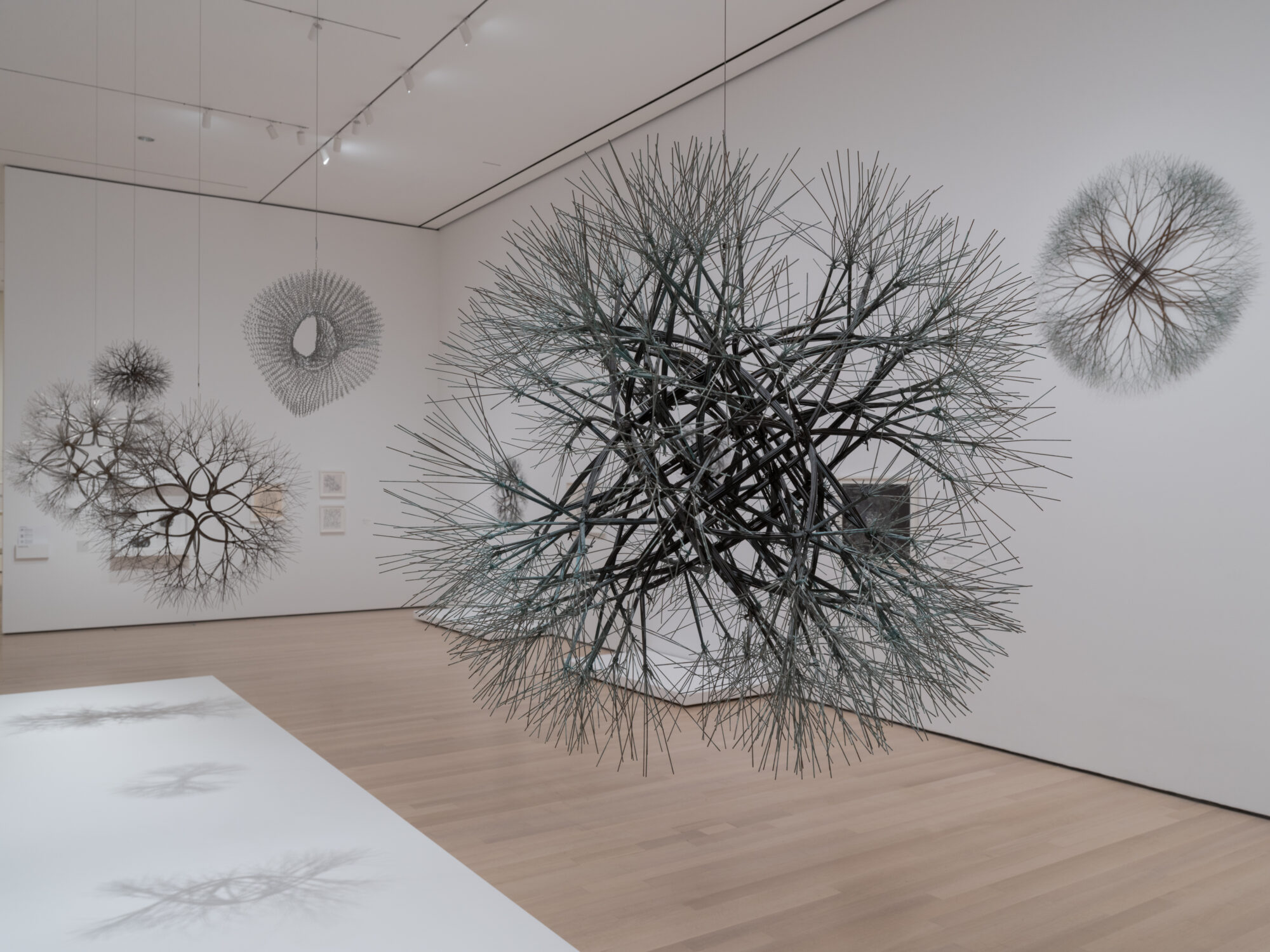 Installation view of “Ruth Asawa: A Retrospective” on view at the Museum of Modern Art.