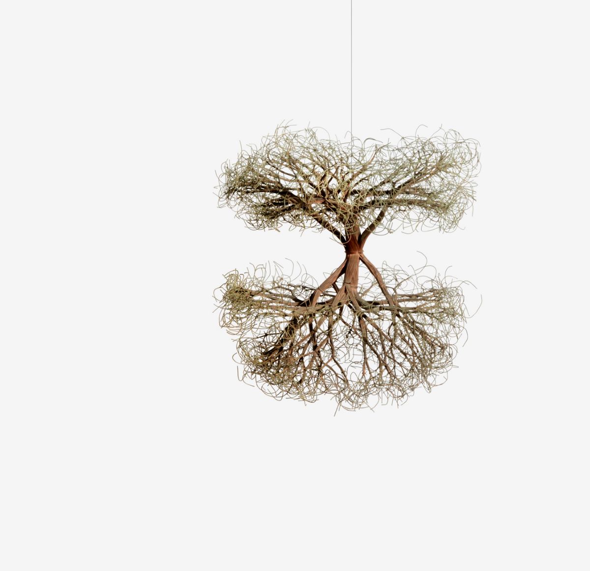 “Untitled,” 1963. Copper wire. Black Mountain College Museum + Arts Center, gift of Rita Newman.