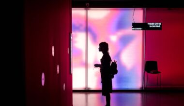 Children’s science museum project described as ‘absolute shambles’ – The Irish Times