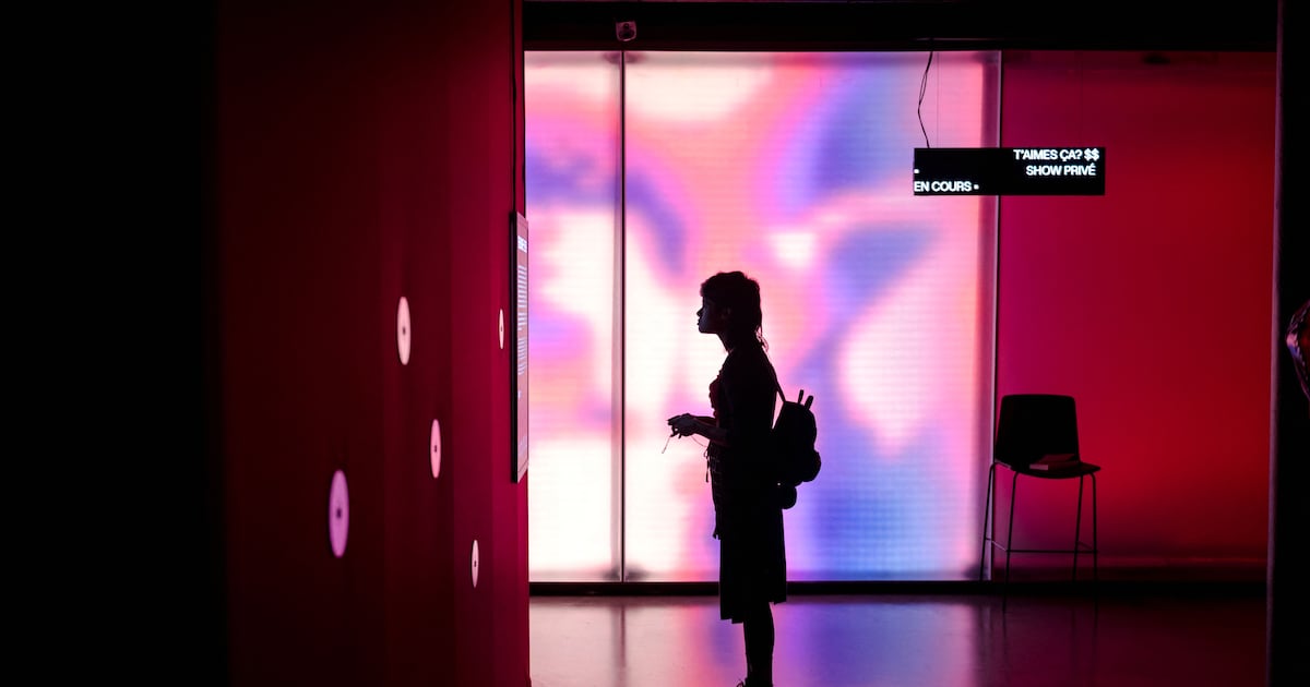 Children’s science museum project described as ‘absolute shambles’ – The Irish Times