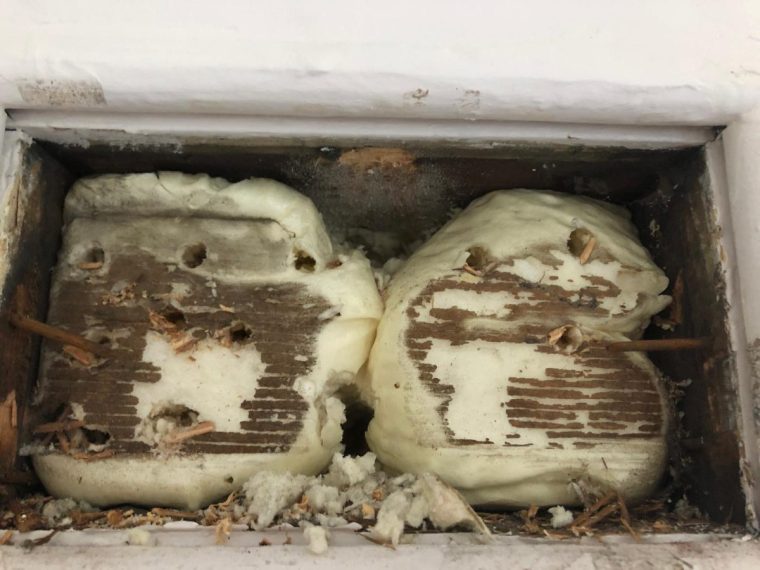 Ailsa White had botched cavity wall insulation installed in her home under a Government scheme. She says it has ruined her life and she feels trapped in a house she cannot sell