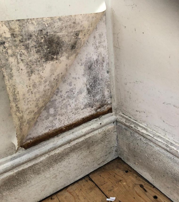 Ailsa White had botched cavity wall insulation installed in her home under a Government scheme. She says it has ruined her life and she feels trapped in a house she cannot sell