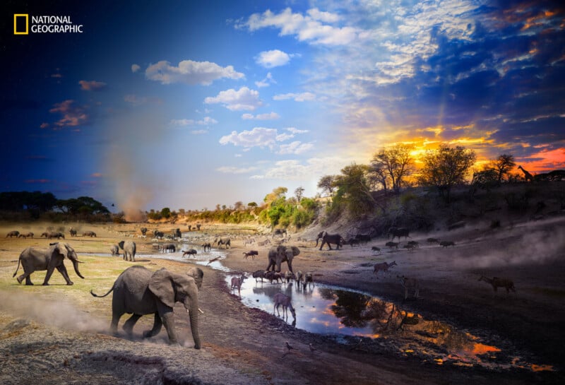 A herd of elephants and other wildlife gather at a watering hole on a savanna under a dramatic sky at sunset, with reflections in the water and trees silhouetted against the colorful clouds. National Geographic logo in the corner.