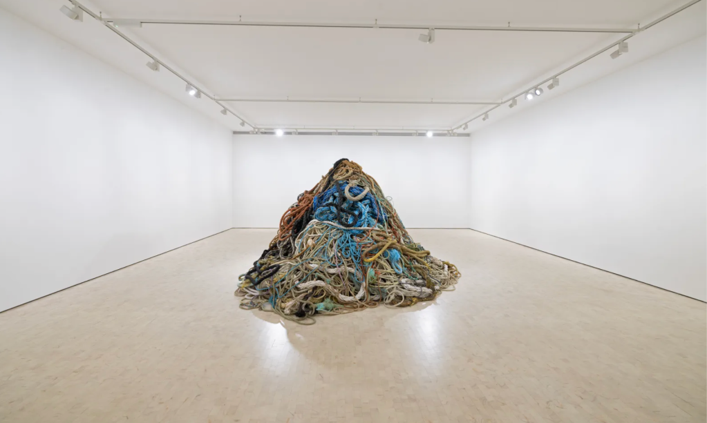 David Shrigley is selling a pile of old rope for £1 million