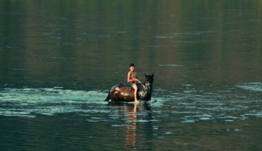 'Silent Flood' Boarded by Filmotor Ahead of IDFA Premiere