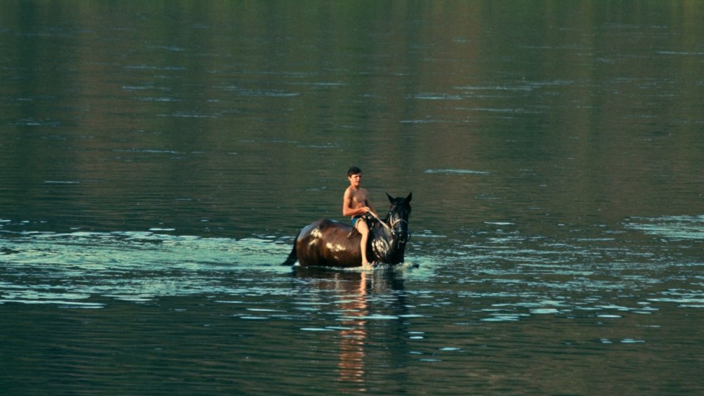 'Silent Flood' Boarded by Filmotor Ahead of IDFA Premiere