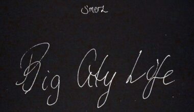 Smerz: Big city life EDITS Album Review