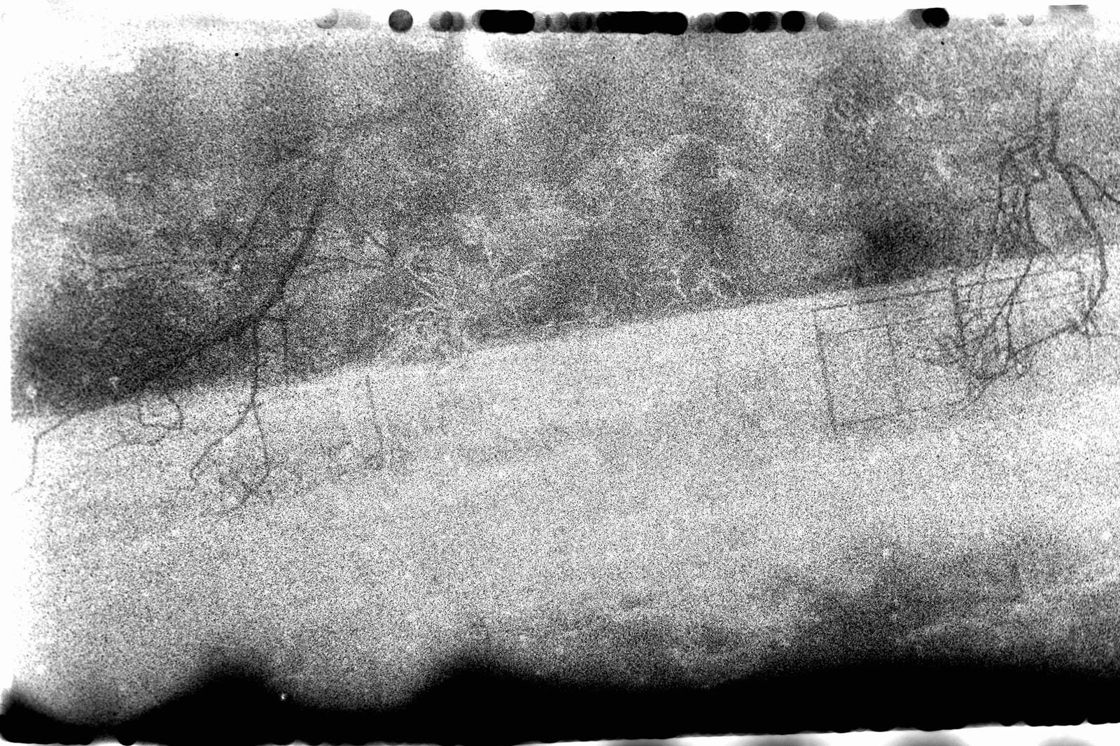 Grainy black-and-white image showing a snowy landscape with leafless tree branches in the foreground. The photo has a faded, damaged effect with darkened edges and a faint outline of a wire fence in the background.