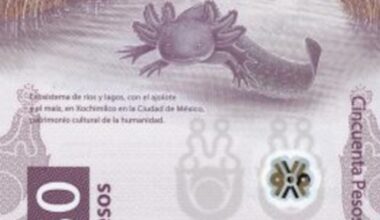 Always Smiling Amphibian Featured on Mexican Money Is So Cute it’s Being Hoarded and Never Spent