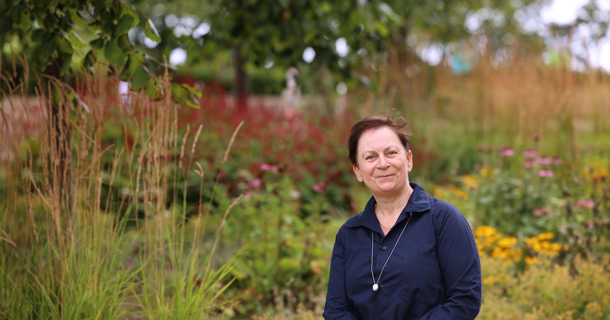 Critical alertness fuelled by an ever-expanding curiosity – The Irish Times