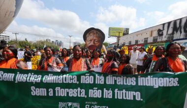 To make progress on deforestation at COP30, countries must be paid to keep forests standing