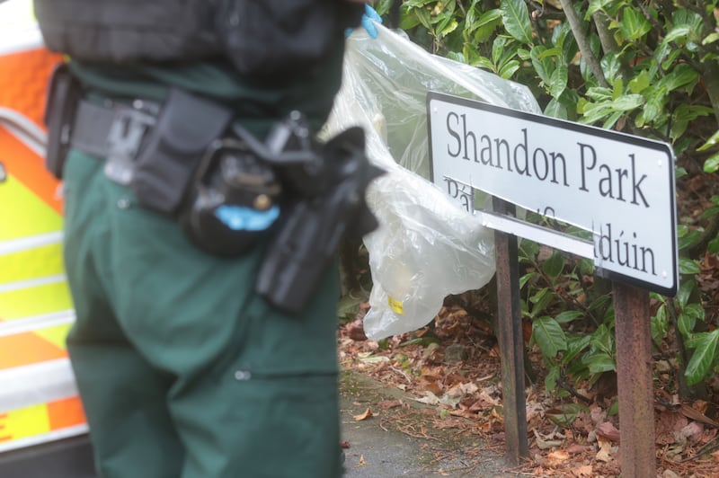 Police at the scene in Shandon Park where a bilingual street sign had the Irish removed with a grinder. PICTURE: MAL MCCANN