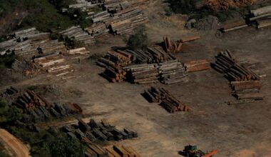 What the COP30 climate summit in the Amazon delivered for forests and Indigenous people 