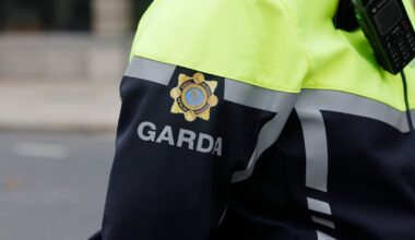 Alleged Dublin gang leader in custody in organised crime probe – The Irish Times
