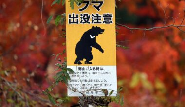 Japanese tourist village battles to keep bears at bay