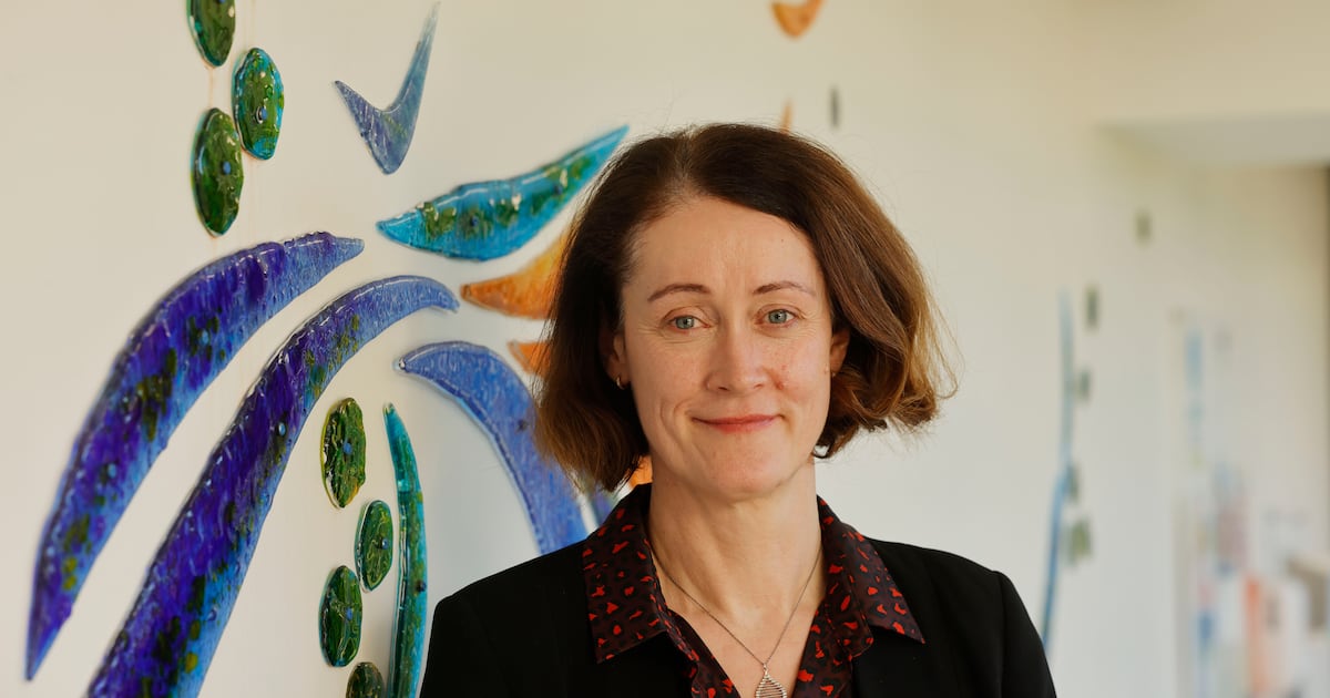 Review into €2m overrun on Beaumont Hospital IT project will cost €115,000 – The Irish Times