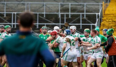 Ugly scenes mar Ballyhale Shamrocks win as spectator grapples with players - The Irish Times
