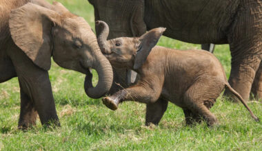 Yahoo lifestyle home