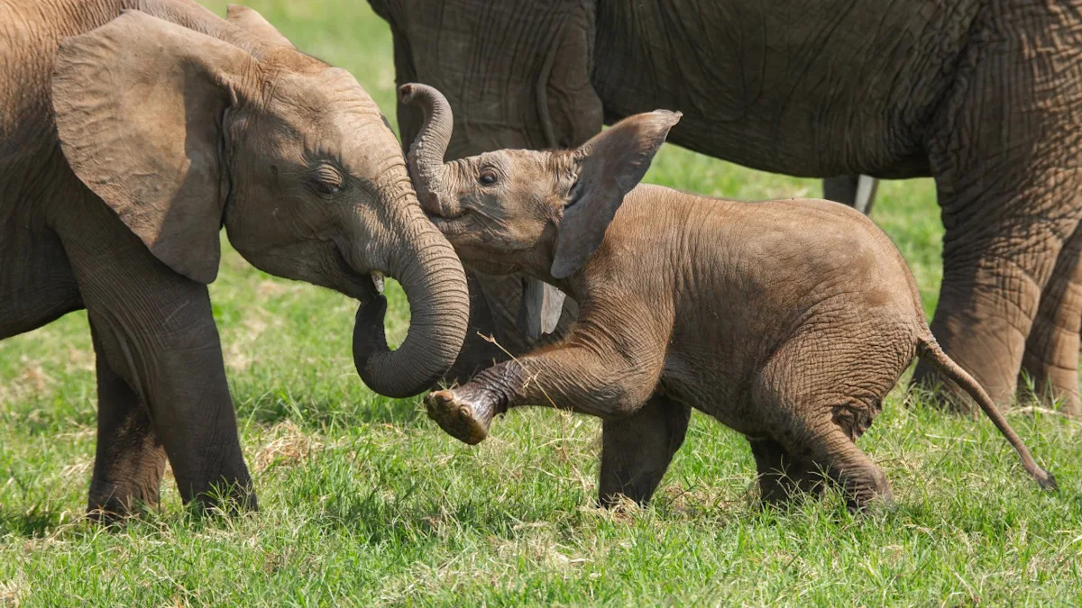 Yahoo lifestyle home