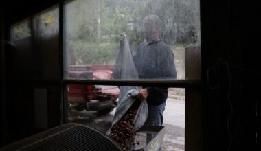 ‘There’s nothing to pick’ | eKathimerini.com