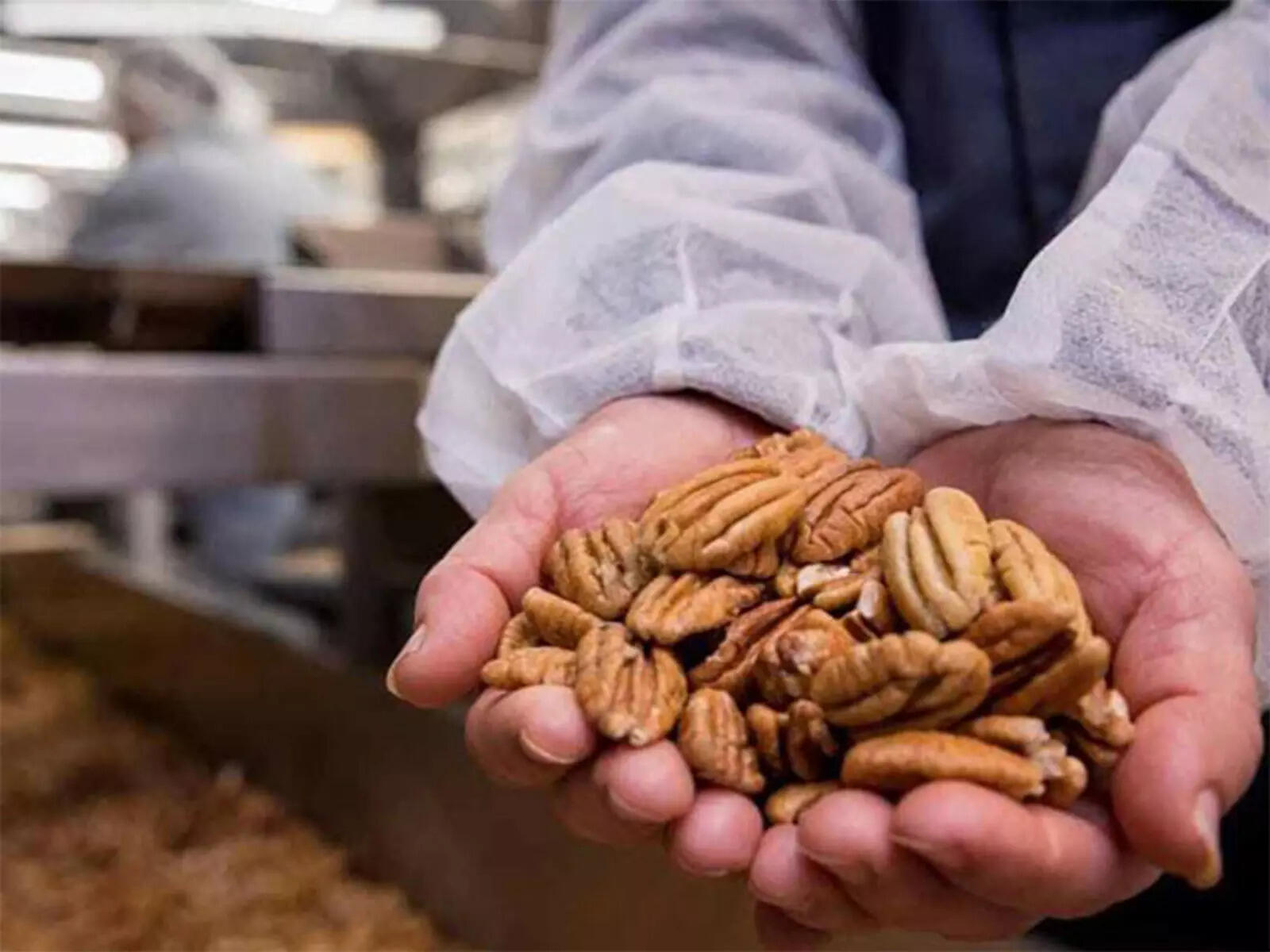 American Pecans: Nature's Shield Against Pollution and Immunity Booster American Pecans: Nature's Shield Against Pollution and Immunity Booster