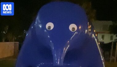 Mount Gambier woman charged over damage to city's Cast in Blue sculpture