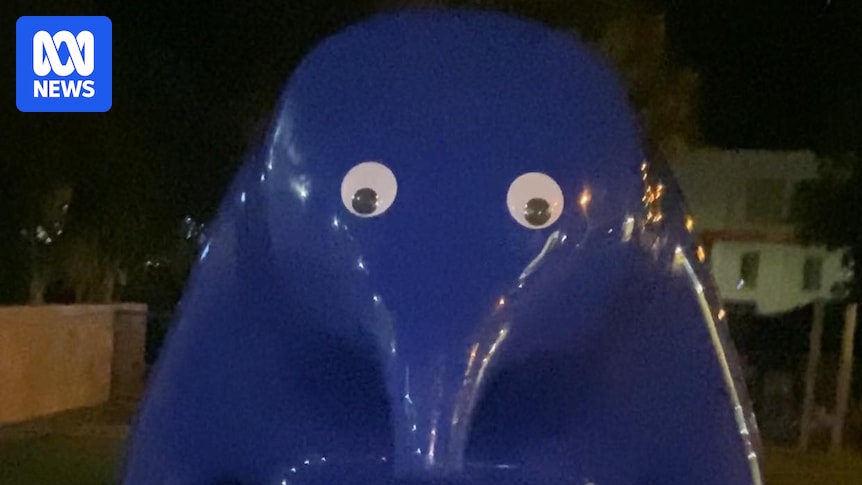 Mount Gambier woman charged over damage to city's Cast in Blue sculpture