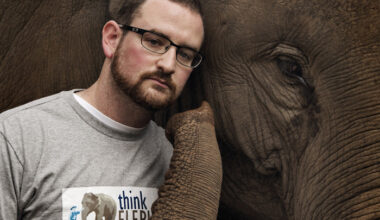 Bangkok Post - He studied elephant behaviour to save lives