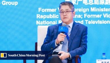 Look to the ‘rising’ Global South, ex-diplomat tells Chinese businesses