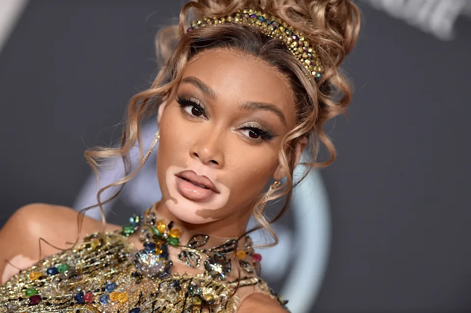 Winnie Harlow with intricate updo hairstyle and embellished gown at a celebrity event