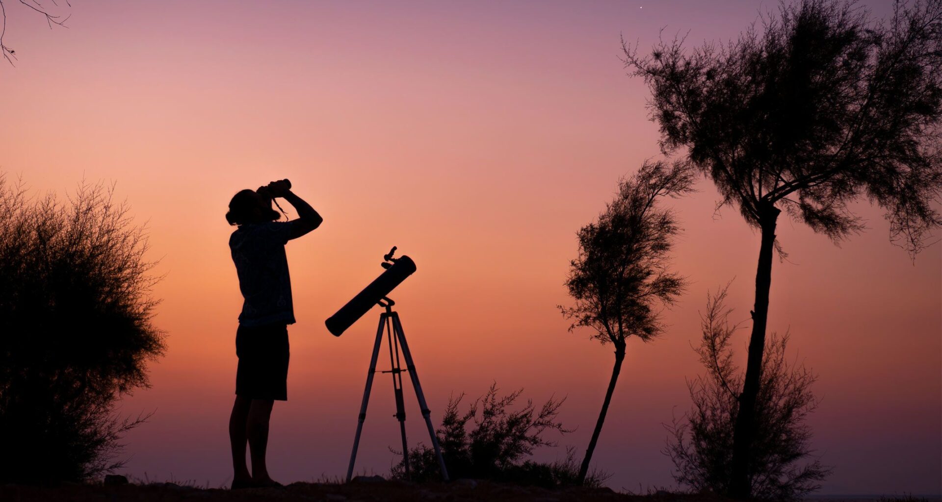 Everything you need to go stargazing this winter and into 2026