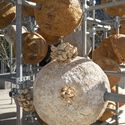 Growing Matter(s) Pavilion / Henning Larsen Architects. Image © Zoey Kroening From Concrete to Cultivation: How AI and Robotics Are Rewriting Architecture’s Material Logic - Image 2 of 14