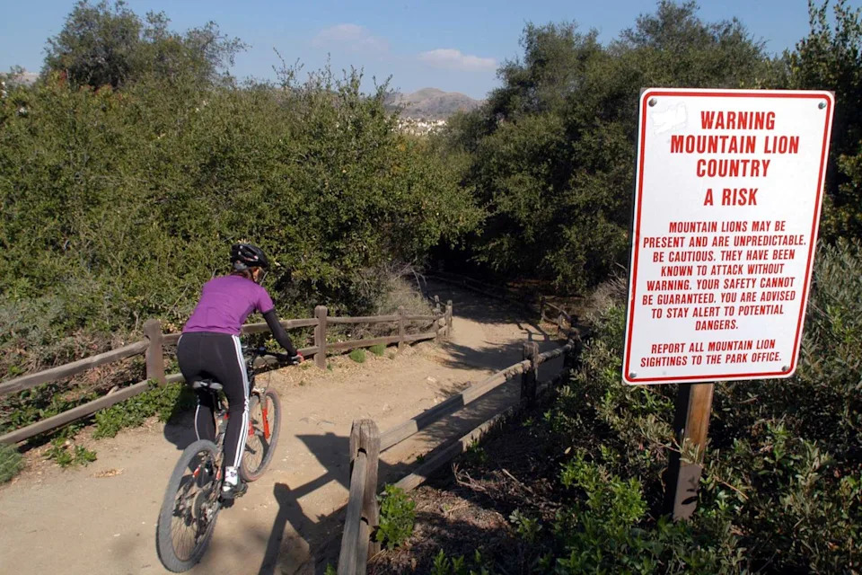 Marc Martin/Los Angeles Times via Getty A trail at Whiting Ranch Wilderness Park