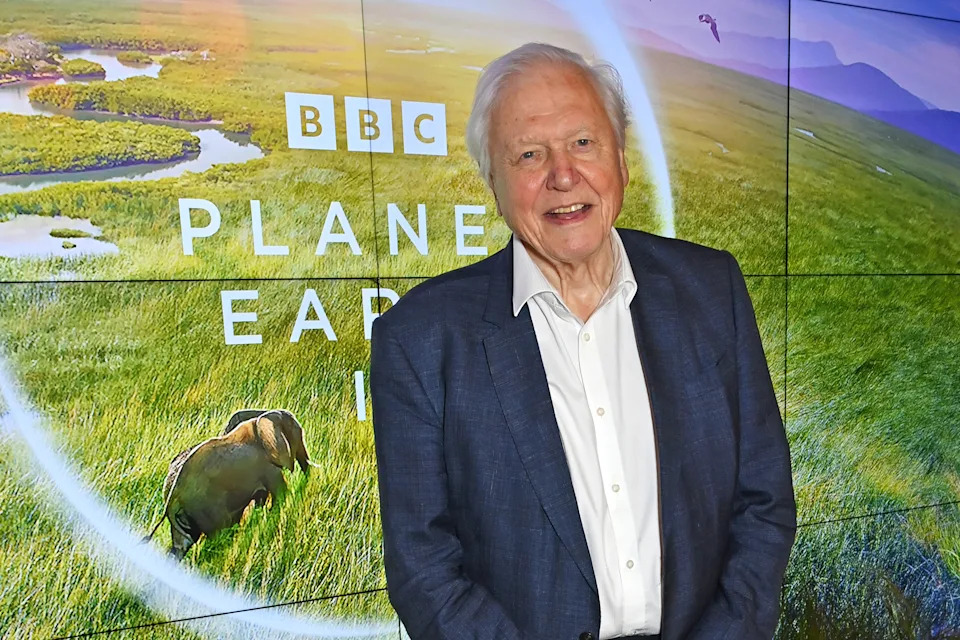 An elderly man in a suit stands in front of a "Planet Earth II" backdrop featuring a grassy landscape and an elephant