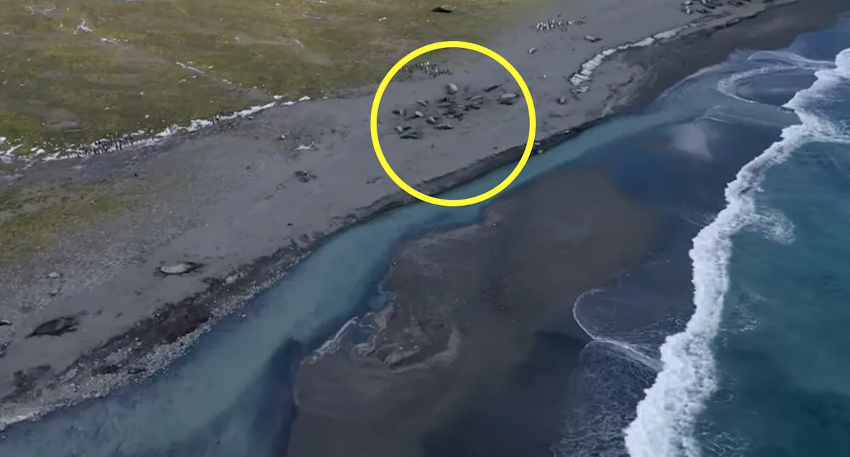 Aerial footage reveals alarming phenomenon on remote island: 'Felt for years'