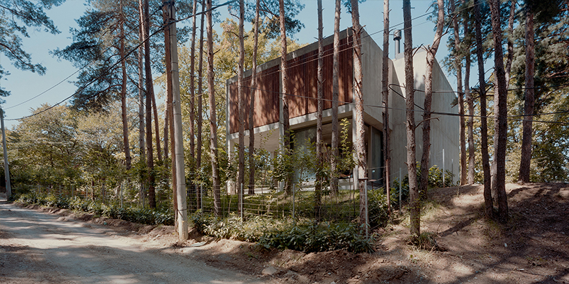 concrete columns lift residence above forested terrain in georgia