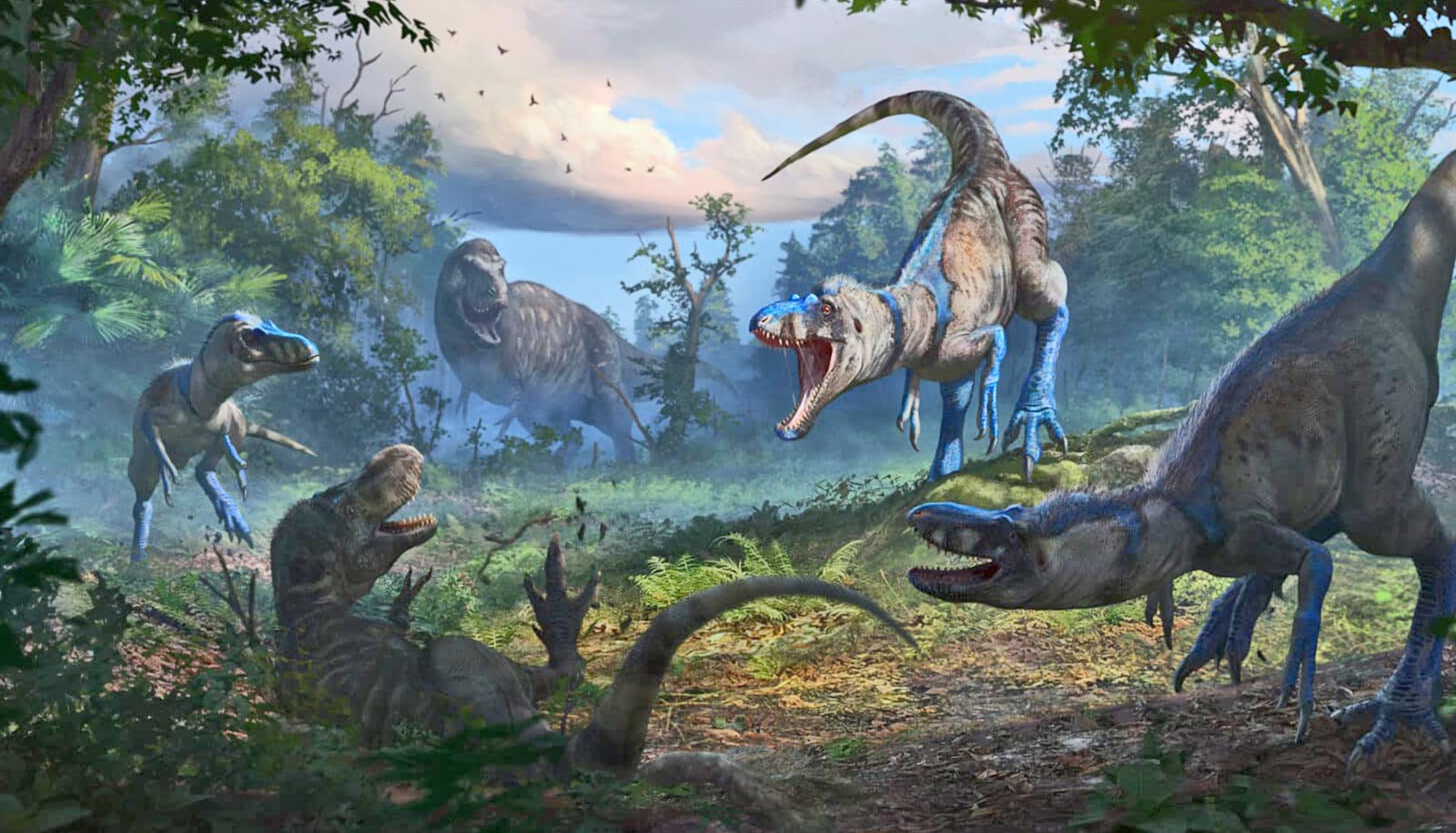 'Dueling dinosaurs' fossil upends ideas about T. rex